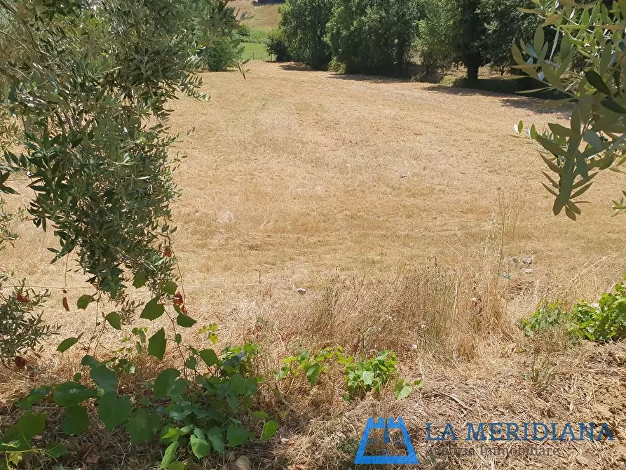 Immagine 30 di Terratetto in vendita  a Lamporecchio