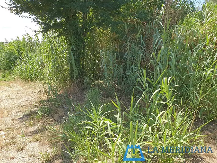 Immagine 31 di Terratetto in vendita  a Lamporecchio