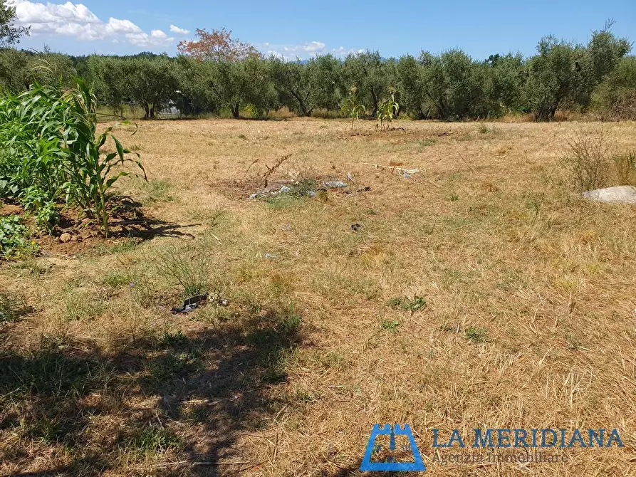 Immagine 29 di Terratetto in vendita  a Lamporecchio