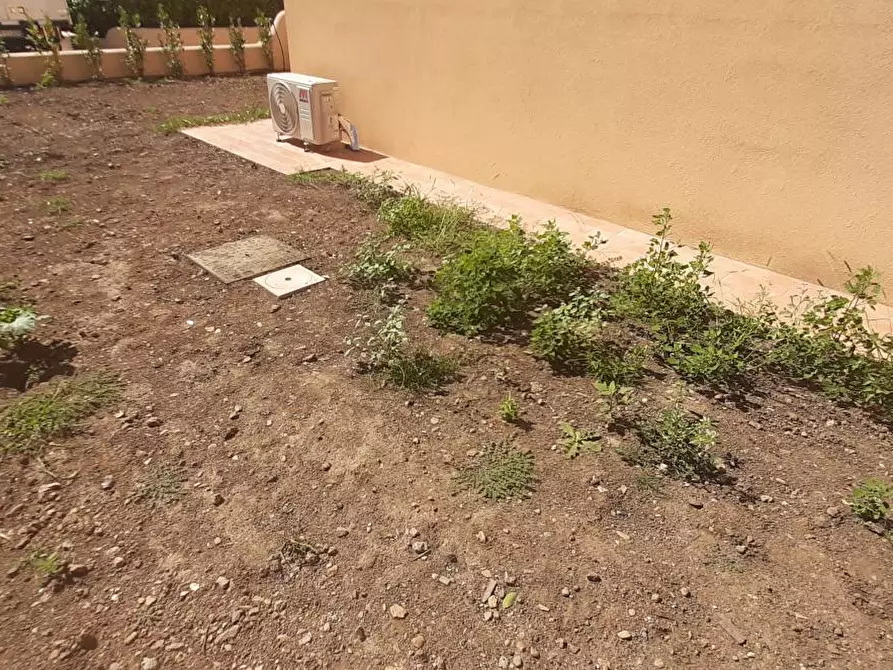 Immagine 2 di Appartamento in vendita  a Rosignano Marittimo