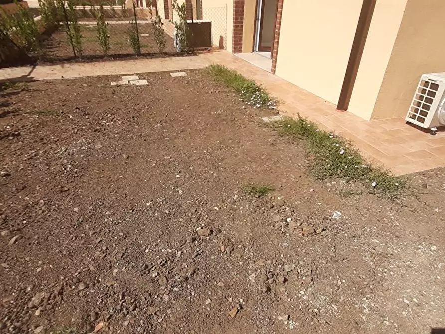 Immagine 3 di Appartamento in vendita  a Rosignano Marittimo