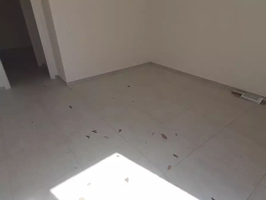 Immagine 10 di Appartamento in vendita  a Rosignano Marittimo