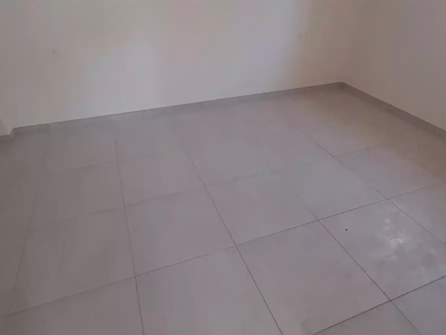 Immagine 19 di Appartamento in vendita  a Rosignano Marittimo