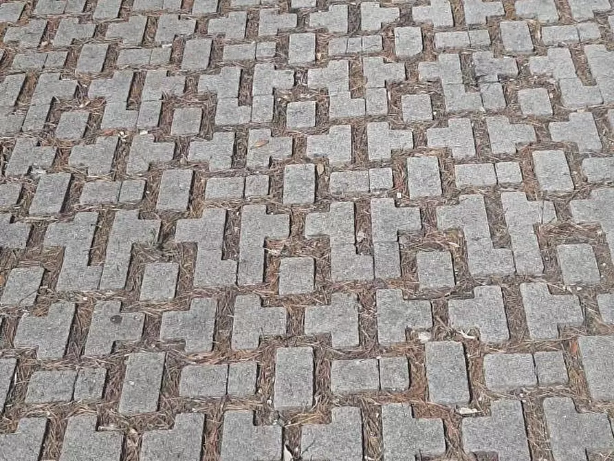 Immagine 22 di Appartamento in vendita  a Rosignano Marittimo