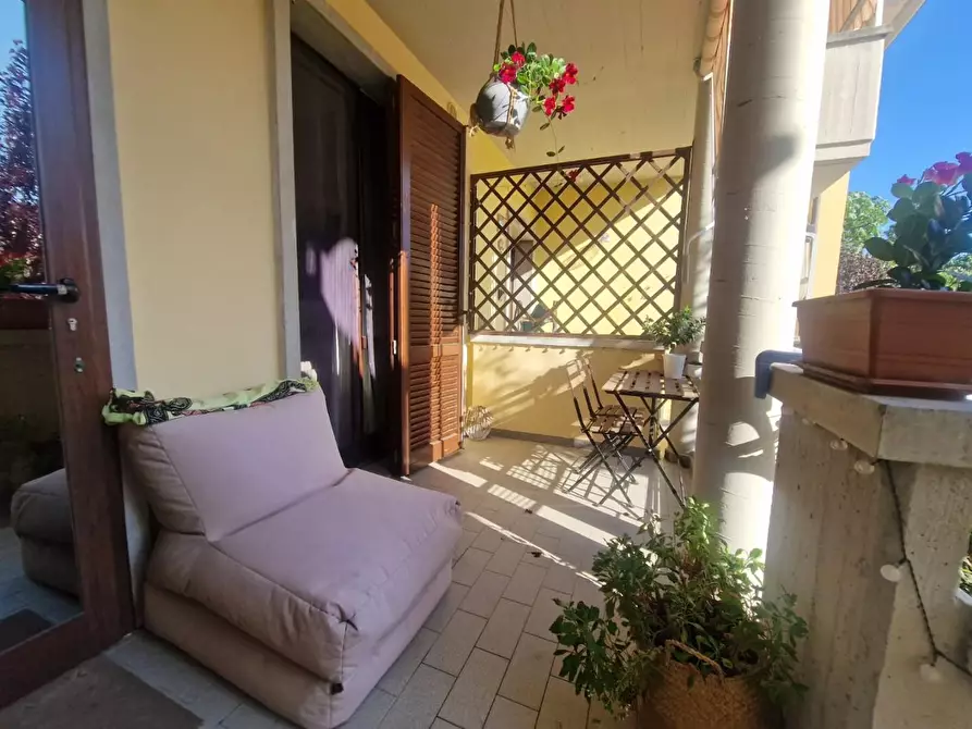 Immagine 9 di Villetta a schiera in vendita  a Rosignano Marittimo