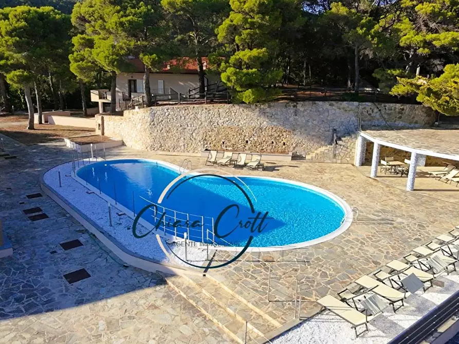 Immagine 29 di Appartamento in vendita  a Livorno