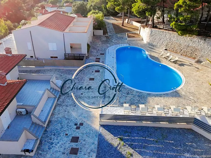 Immagine 6 di Appartamento in vendita  a Livorno