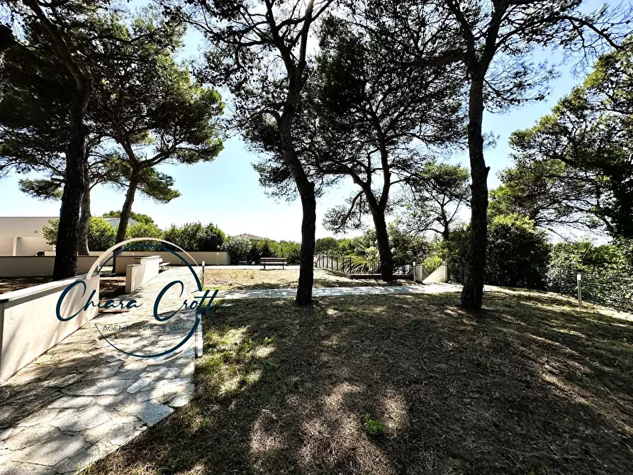 Immagine 30 di Appartamento in vendita  a Livorno