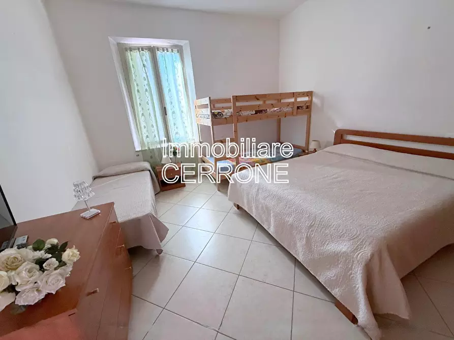 Immagine 17 di Appartamento in vendita  a Cecina