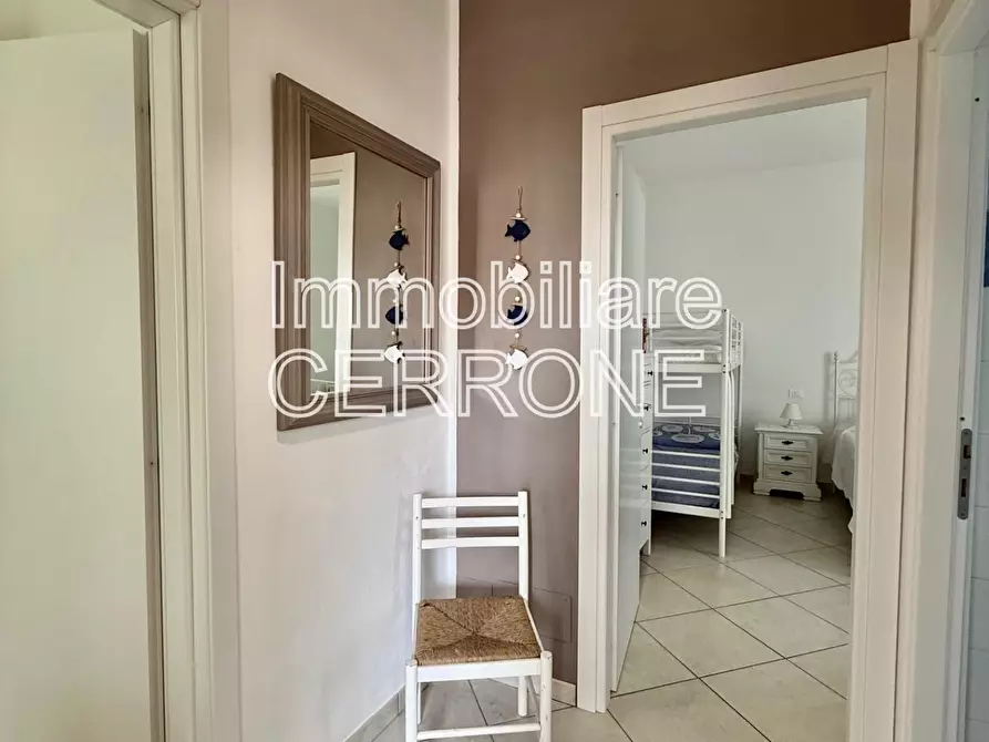 Immagine 9 di Appartamento in vendita  a Cecina