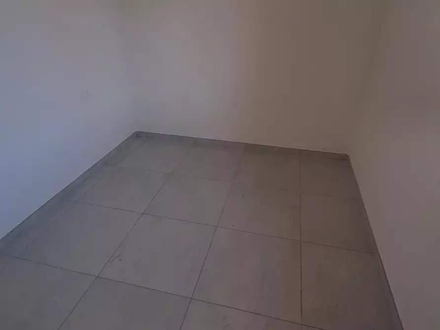 Immagine 15 di Appartamento in vendita  a Rosignano Marittimo