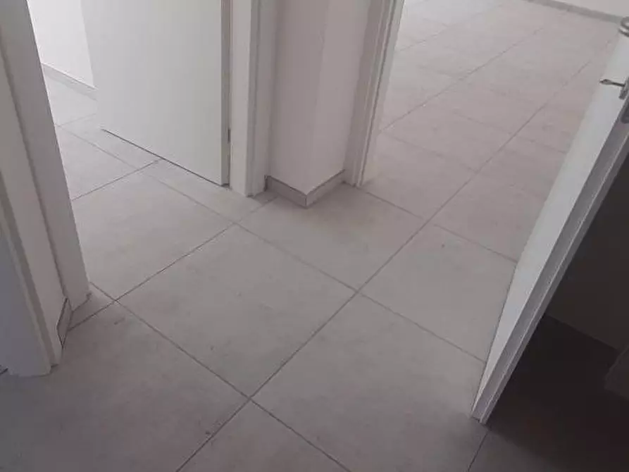 Immagine 17 di Appartamento in vendita  a Rosignano Marittimo
