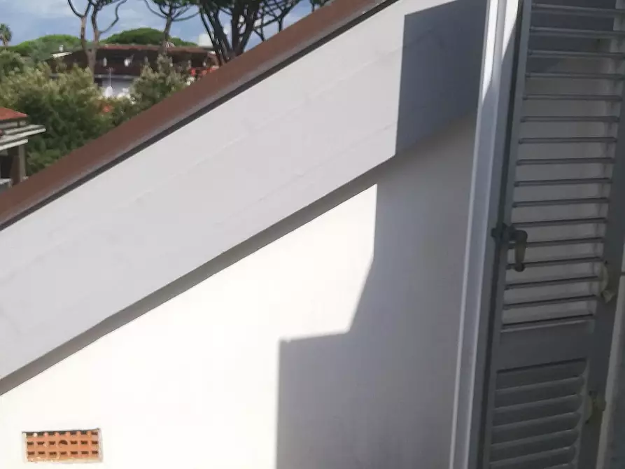 Immagine 12 di Appartamento in vendita  a Massa