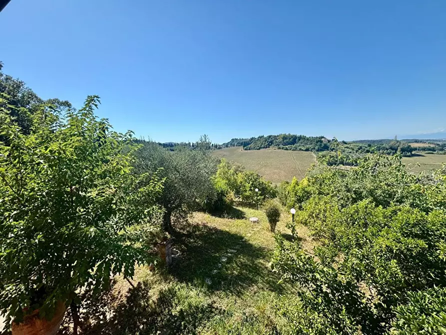 Immagine 21 di Casa colonica in vendita  a Fauglia