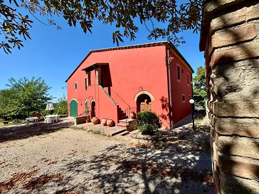 Immagine 9 di Casa colonica in vendita  a Fauglia