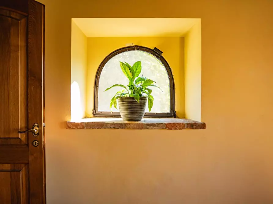 Immagine 33 di Casa colonica in vendita  a Fauglia