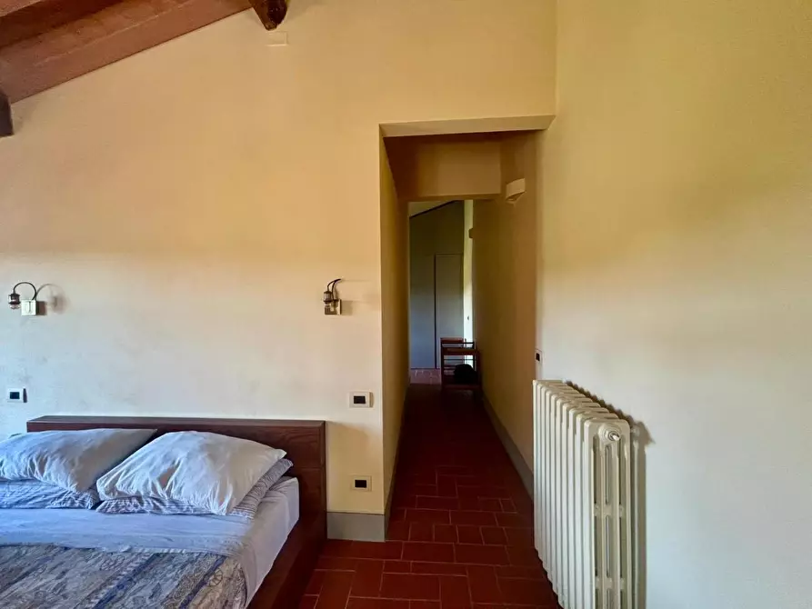 Immagine 44 di Casa colonica in vendita  a Fauglia