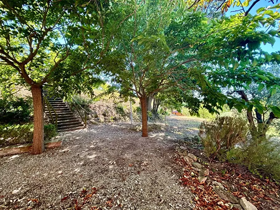 Immagine 19 di Casa colonica in vendita  a Fauglia