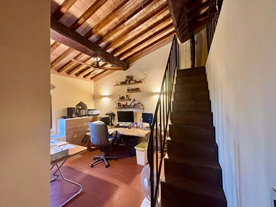 Immagine 41 di Casa colonica in vendita  a Fauglia