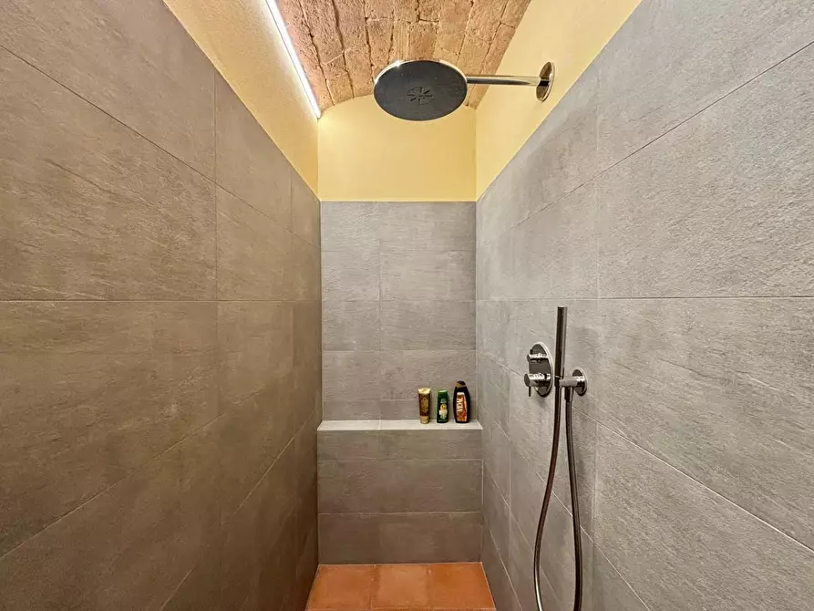 Immagine 48 di Casa colonica in vendita  a Fauglia