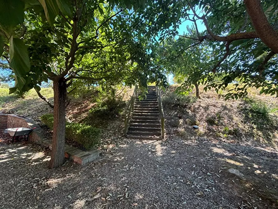 Immagine 20 di Casa colonica in vendita  a Fauglia