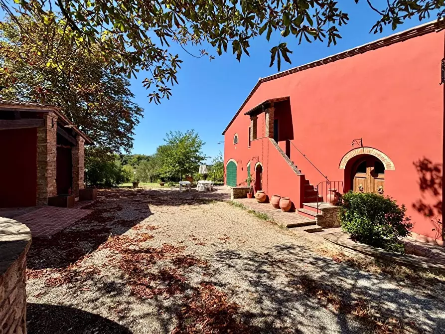 Immagine 8 di Casa colonica in vendita  a Fauglia