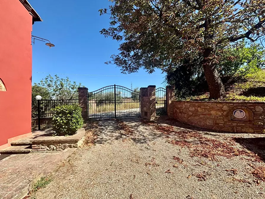 Immagine 14 di Casa colonica in vendita  a Fauglia