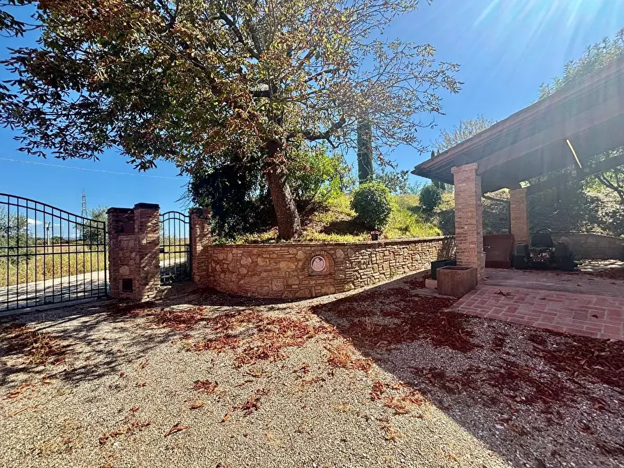 Immagine 18 di Casa colonica in vendita  a Fauglia