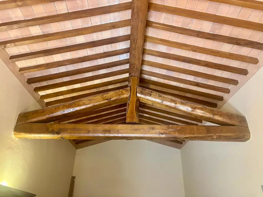 Immagine 42 di Casa colonica in vendita  a Fauglia