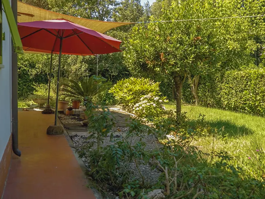 Immagine 37 di Villa in vendita  a Massa