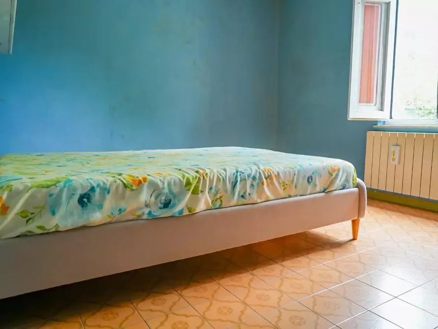 Immagine 21 di Villa in vendita  a Massa