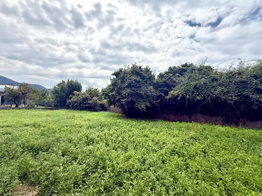 Immagine 6 di Casa indipendente in vendita  a Massa