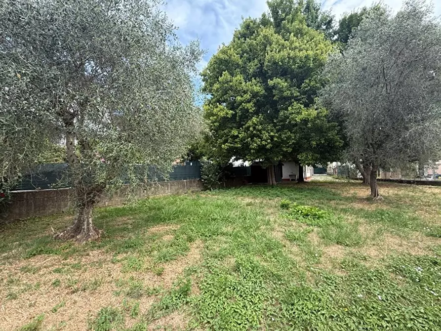 Immagine 11 di Casa indipendente in vendita  a Massa