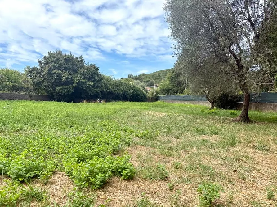 Immagine 13 di Casa indipendente in vendita  a Massa