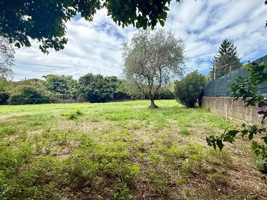 Immagine 14 di Casa indipendente in vendita  a Massa