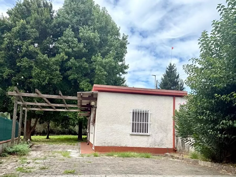 Immagine 4 di Casa indipendente in vendita  a Massa