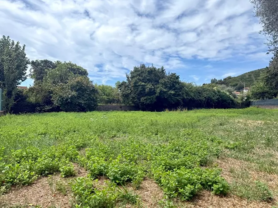 Immagine 9 di Casa indipendente in vendita  a Massa