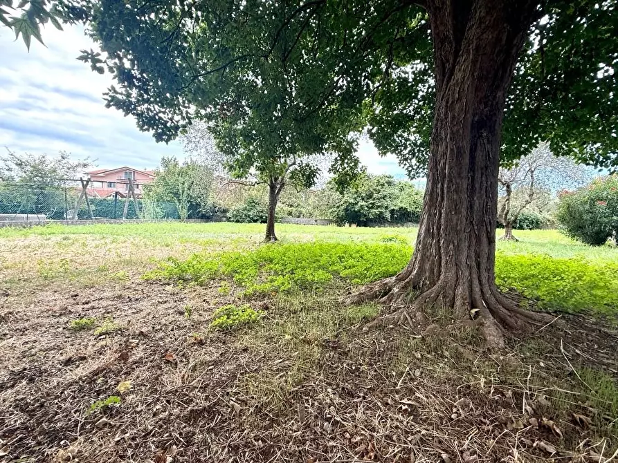 Immagine 16 di Casa indipendente in vendita  a Massa