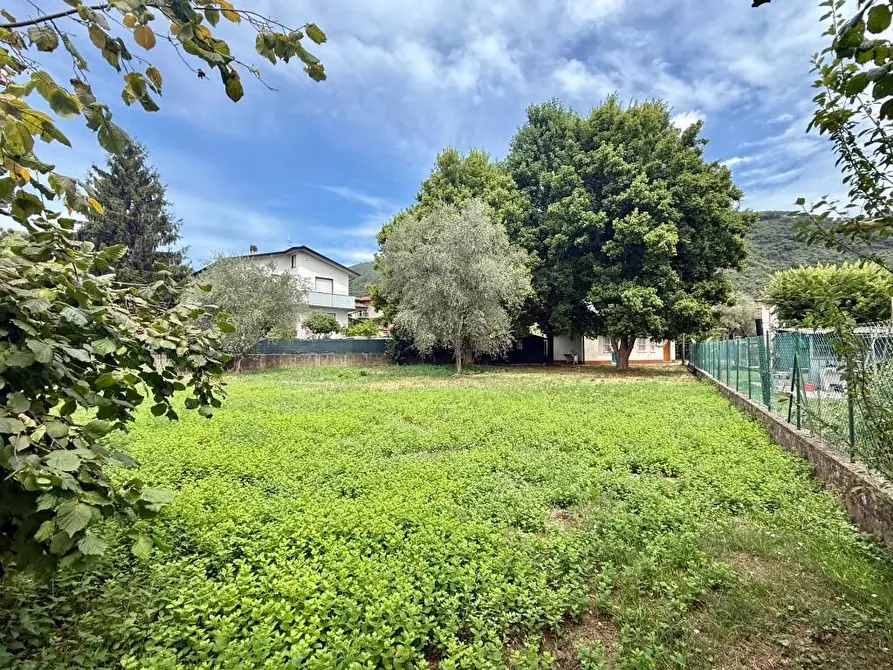 Immagine 7 di Casa indipendente in vendita  a Massa