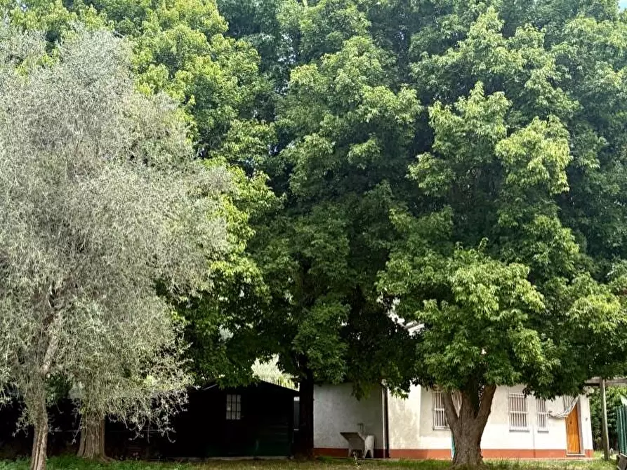 Immagine 12 di Casa indipendente in vendita  a Massa