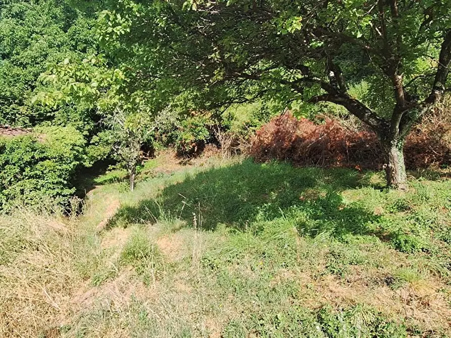 Immagine 5 di Terratetto in vendita  a Pescaglia