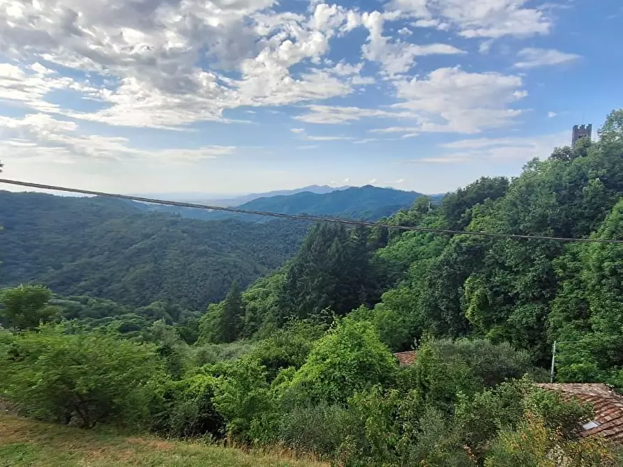 Immagine 4 di Terratetto in vendita  a Pescaglia