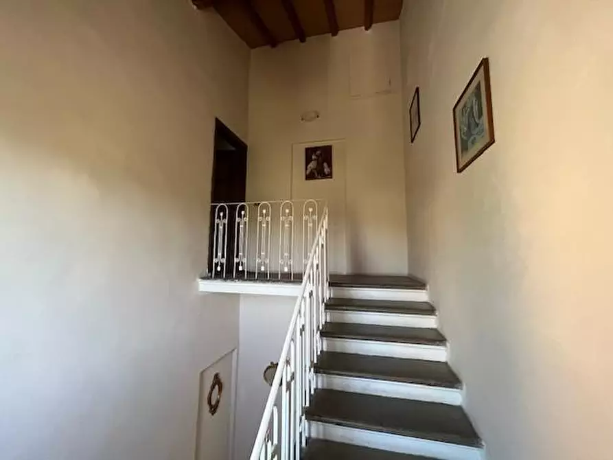 Immagine 3 di Appartamento in vendita  a Peccioli