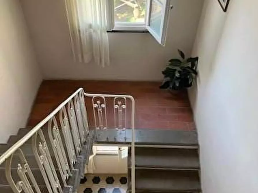 Immagine 5 di Appartamento in vendita  a Peccioli