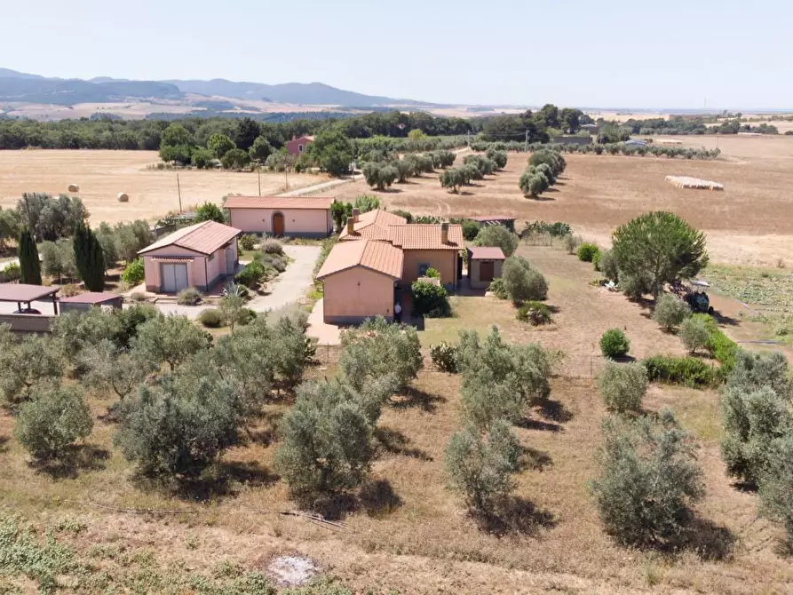 Immagine 53 di Villa in vendita  a Tarquinia