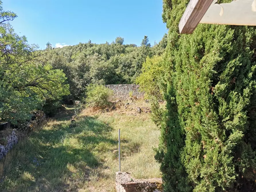 Immagine 11 di Casa colonica in vendita  a Monteriggioni