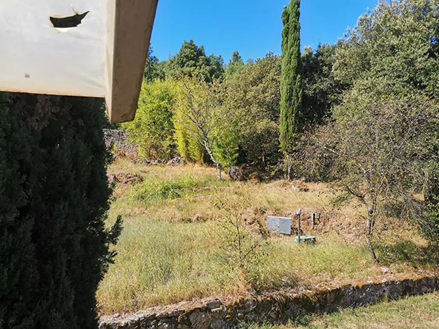 Immagine 10 di Casa colonica in vendita  a Monteriggioni