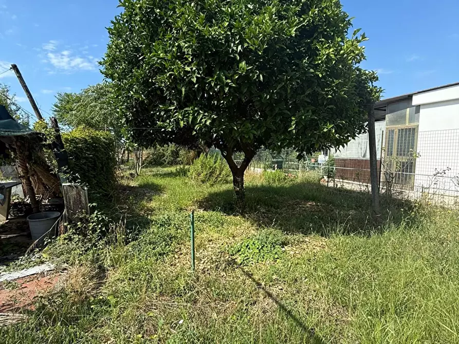 Immagine 29 di Casa semindipendente in vendita  a Carrara