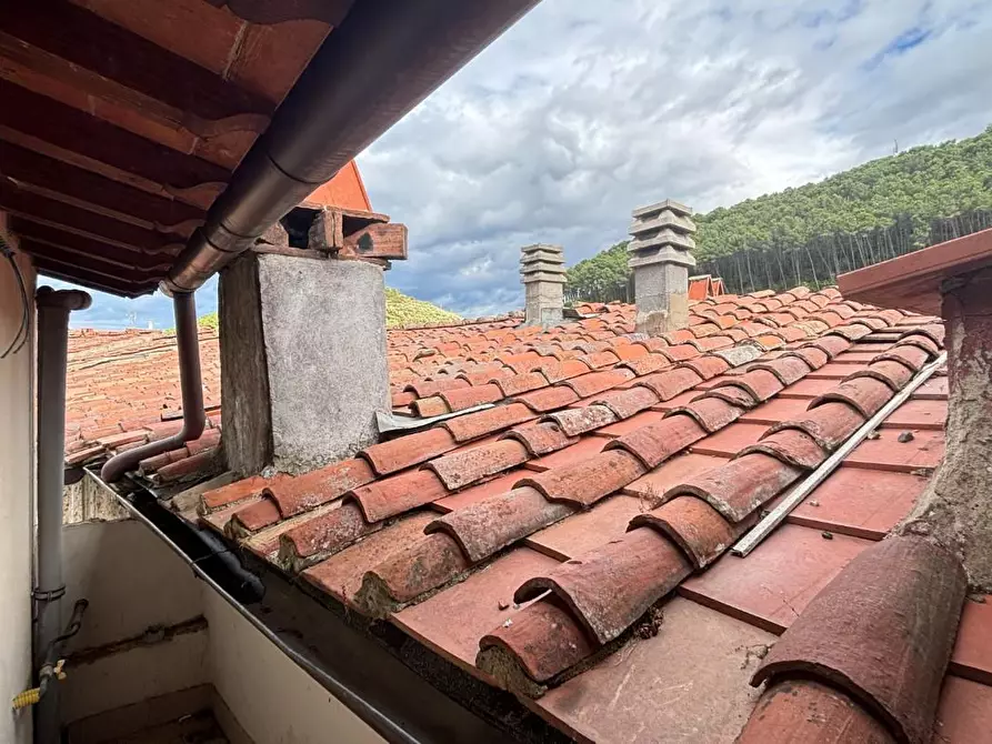 Immagine 21 di Terratetto in vendita  a Buti