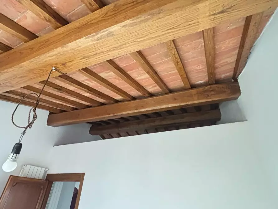 Immagine 15 di Terratetto in vendita  a Buti